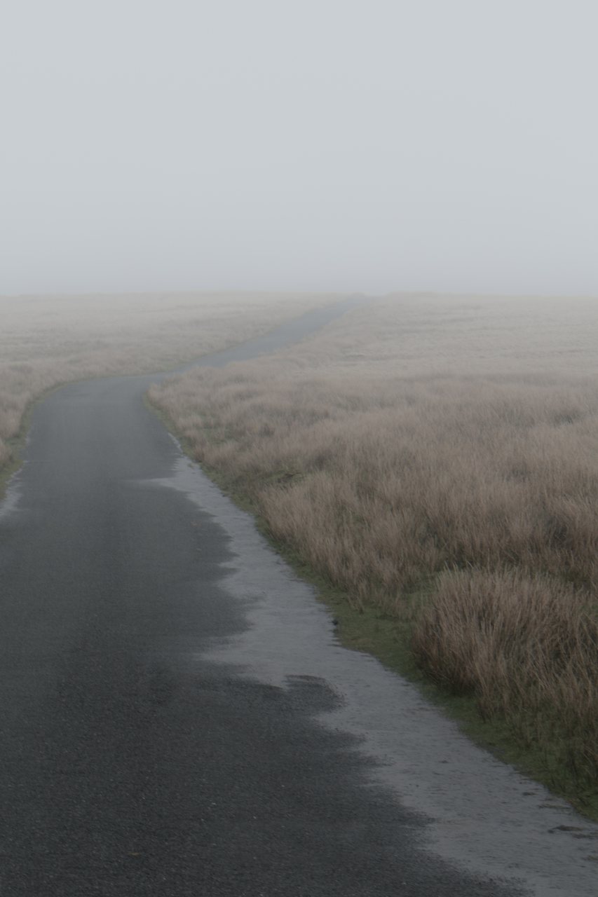 A wet single track road curving away across open moorland and dissolving into thick fog, pale winter grass on either side.